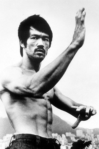 Bruce lee classic kung fu - lee,