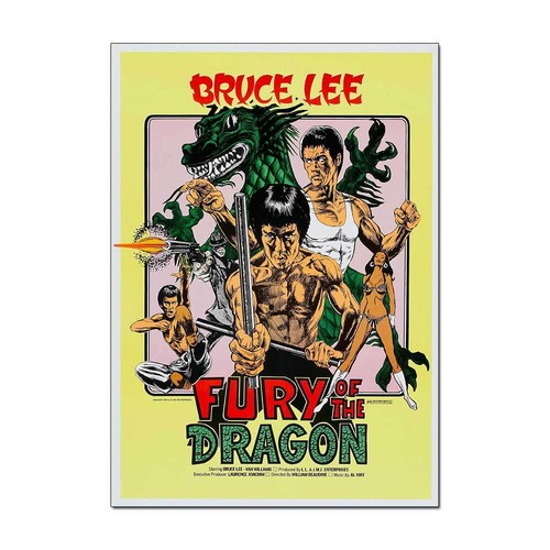Fury the dragon bruce - the, lee