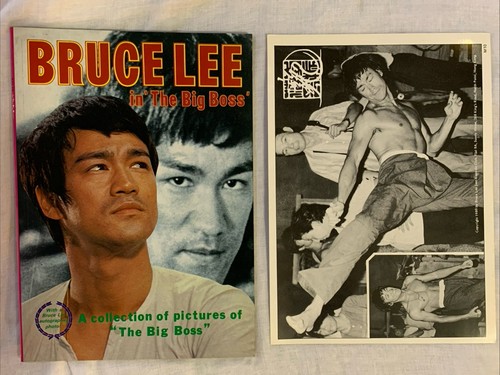 Bruce lee the big - “the,