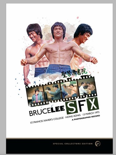 Bruce lee sfx st francis - lee,