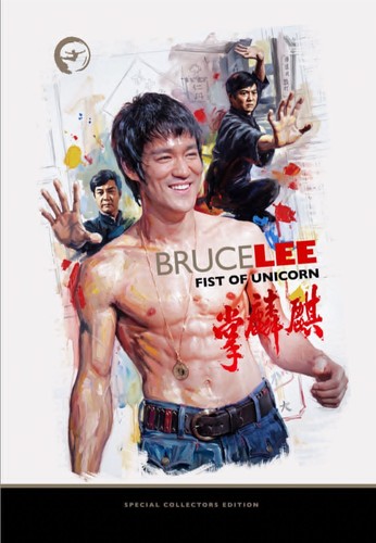 Bruce lee the - bruce,