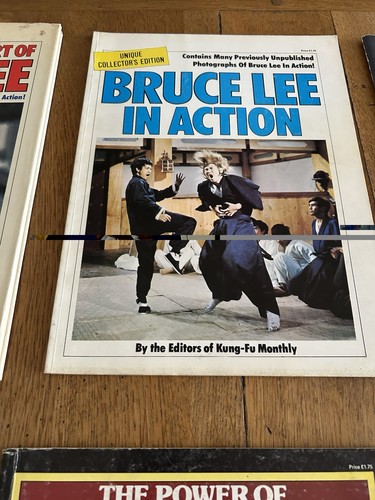 Bruce lee action - bruce,