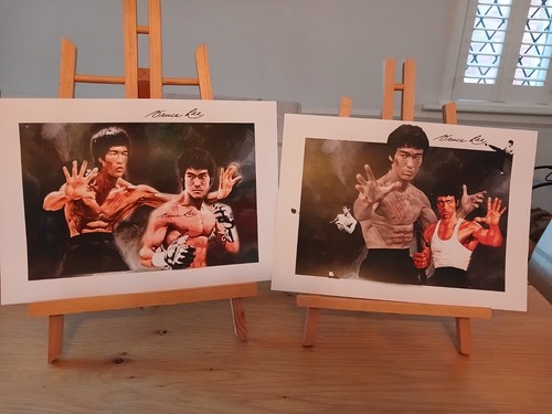 Bruce lee martial arts - lee,
