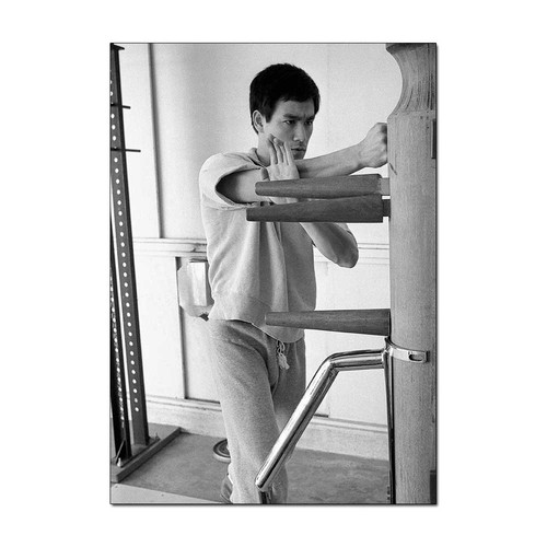 Bruce lee dummy - bruce, training